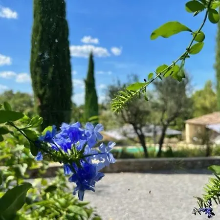Apartment In The South Ardeche